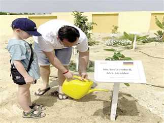 «ازرع شجرة تحمل اسمك».. مبادرة تجذب سياح البحر الأحمر