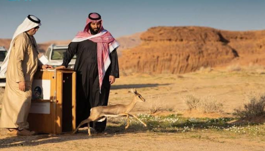 المملكة ترسّخ ريادتها العالمية في مكافحة القضايا والتغيرات المناخية عبر مبادرات نوعية لخفض الانبعاثات الكربونية