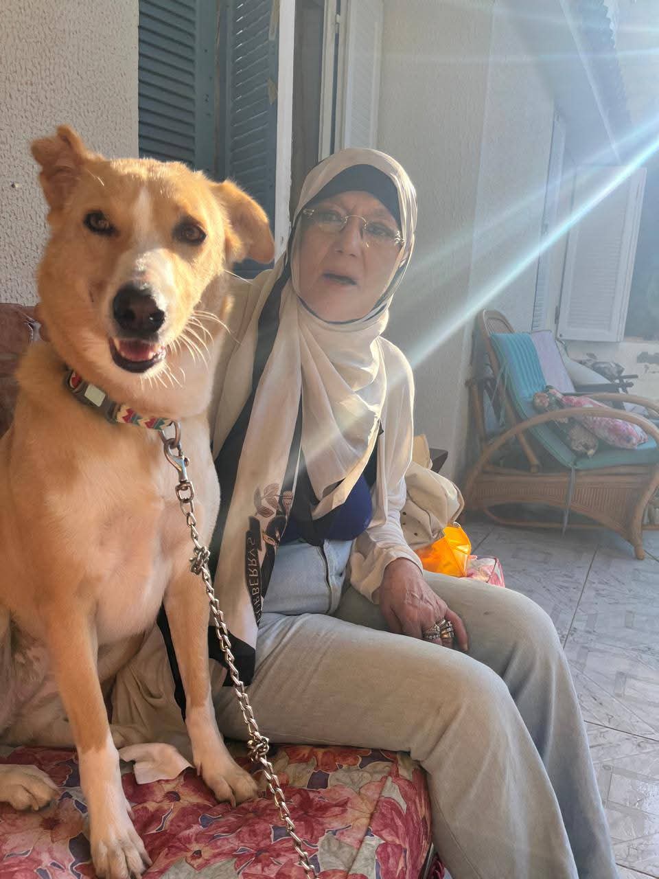 شمس البارودي تعود للأضواء مع كلبها