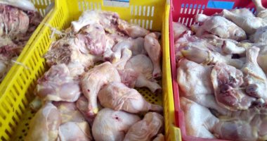 ضبط طن ونصف دواجن فى حملة بيطرية بالقليوبية