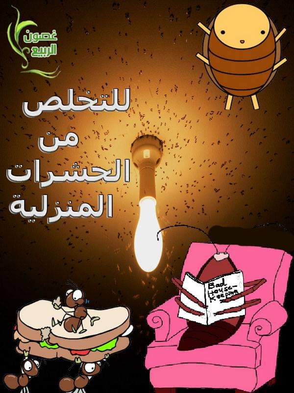 كيف نتخلص من حشرات المنزل وخصوصاً  الصيف  ومشاكل الحر والصيف وحشرات المنزل بالصيف