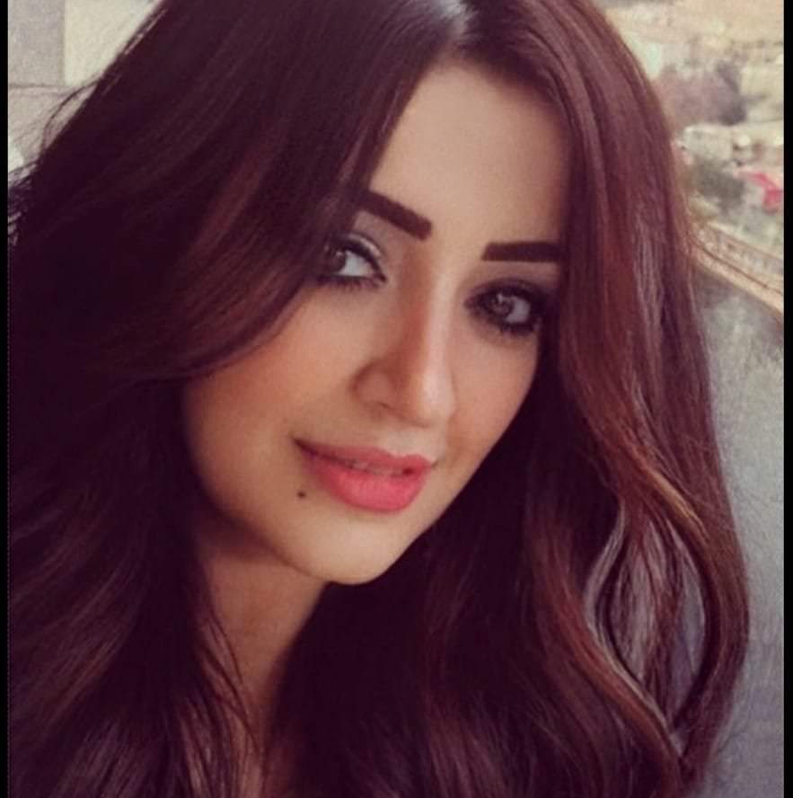 (يا نقابة المهن التمثيلية علموهم الأخلاق الفنية)