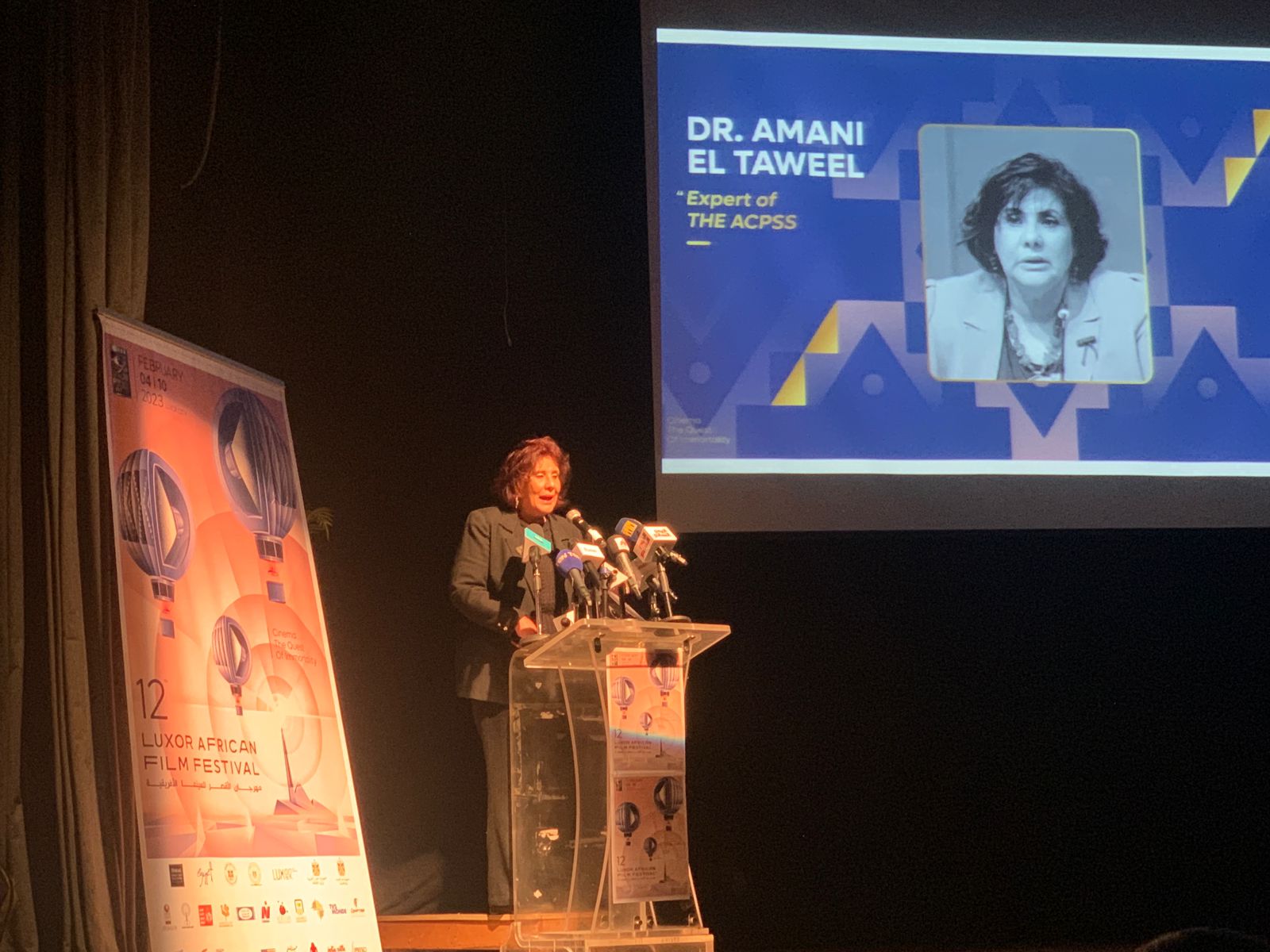 خبير الشؤون الافريقية د. أماني الطويل: مهرجان الأقصر أحد آليات الدولة المصري