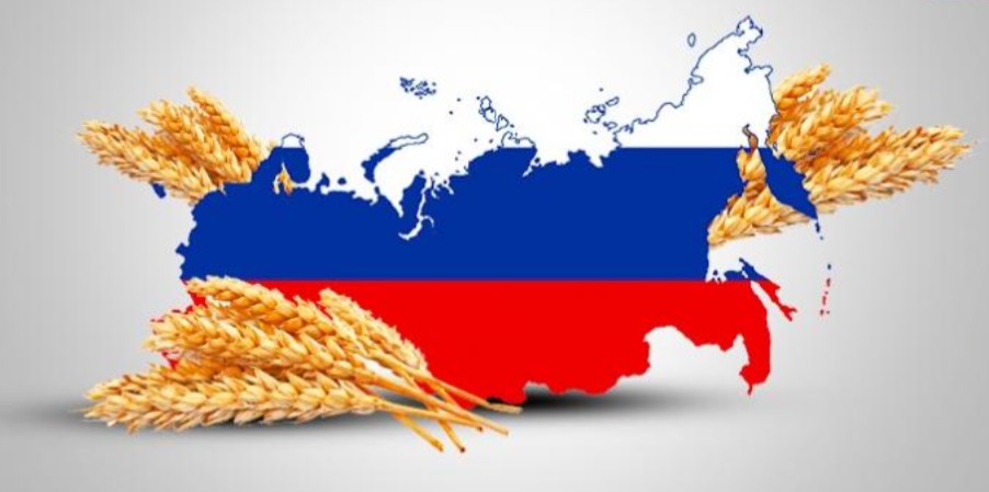 بداية من غدَا الاحد.. البورصة المصرية للسلع: تداول القمح الروسي كأول سلعة متداولة