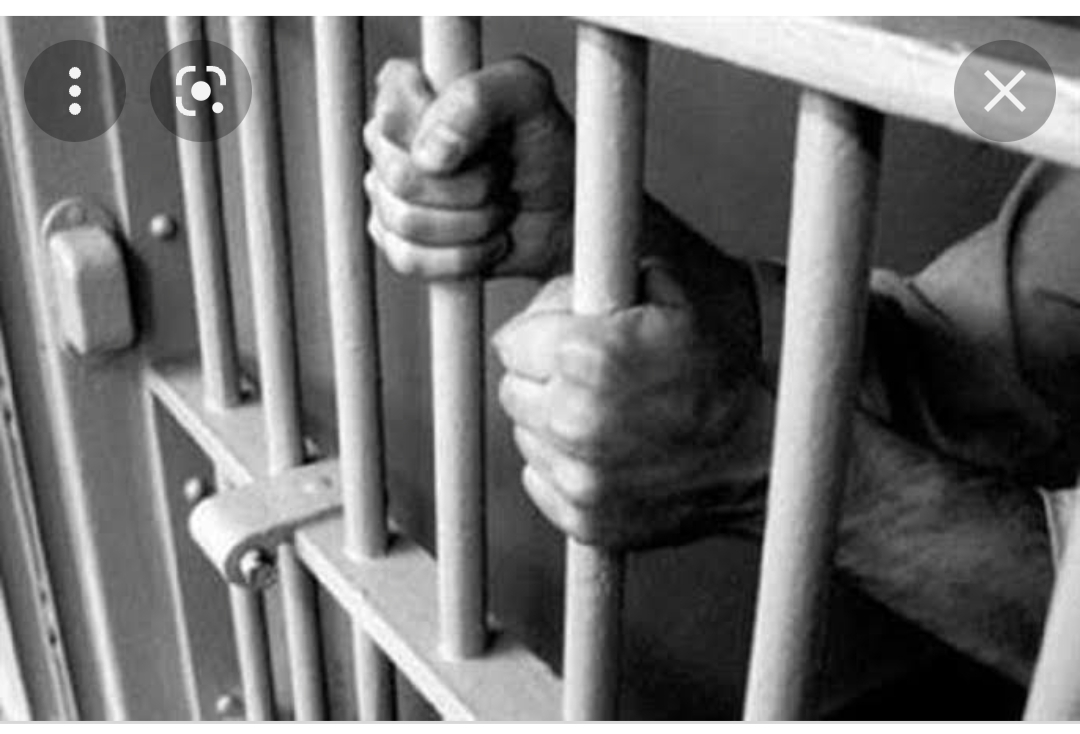 السجن 3سنوات لموظفة الثروة السمكية بالغردقة بتهمة تزوير محررات رسمية والاستيلاء على مليون جنيه