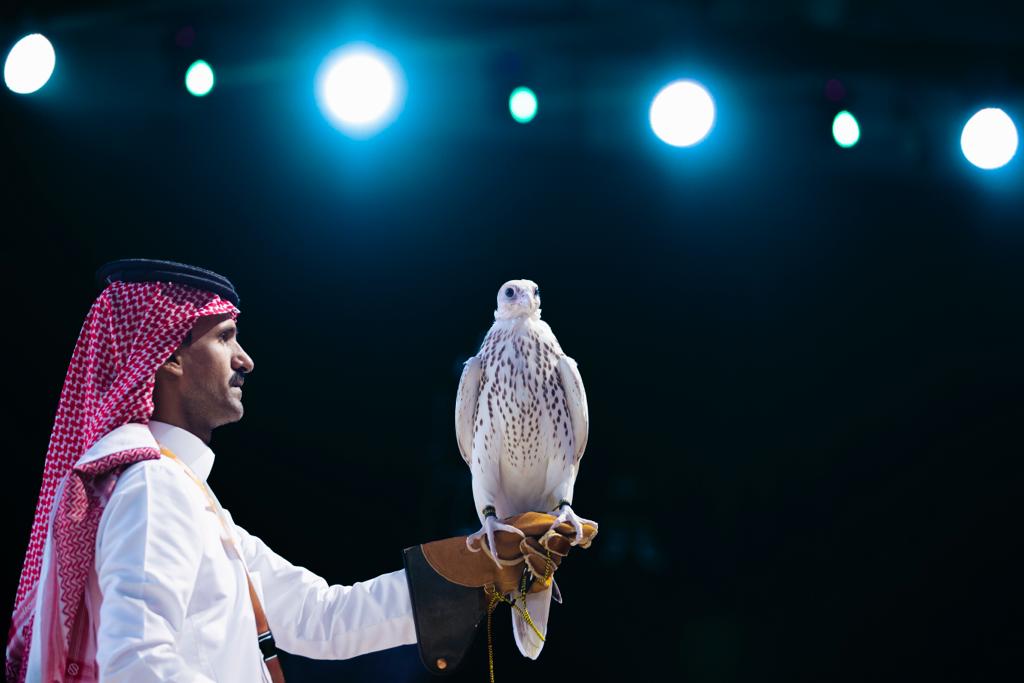 صقر أمريكي يحصد لقب الأغلى في المزاد الدولي لمزارع إنتاج الصقور في السعودية ويباع ب١٤٦ ألف دولار 