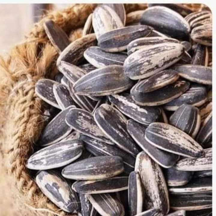 هل_تعلم فوائد اللب السوري(عباد الشمس)