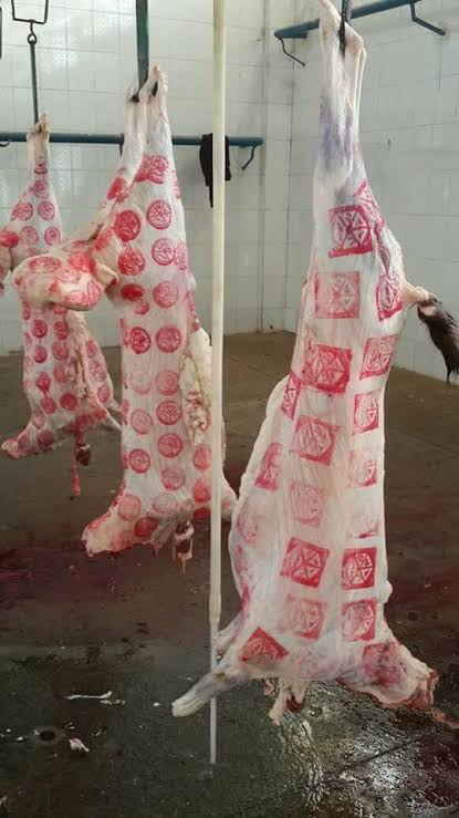 لضمان عدم تعرضك للغش: تعرف على أشكال أختام اللحوم الحمراء والبيانات التي تحويها