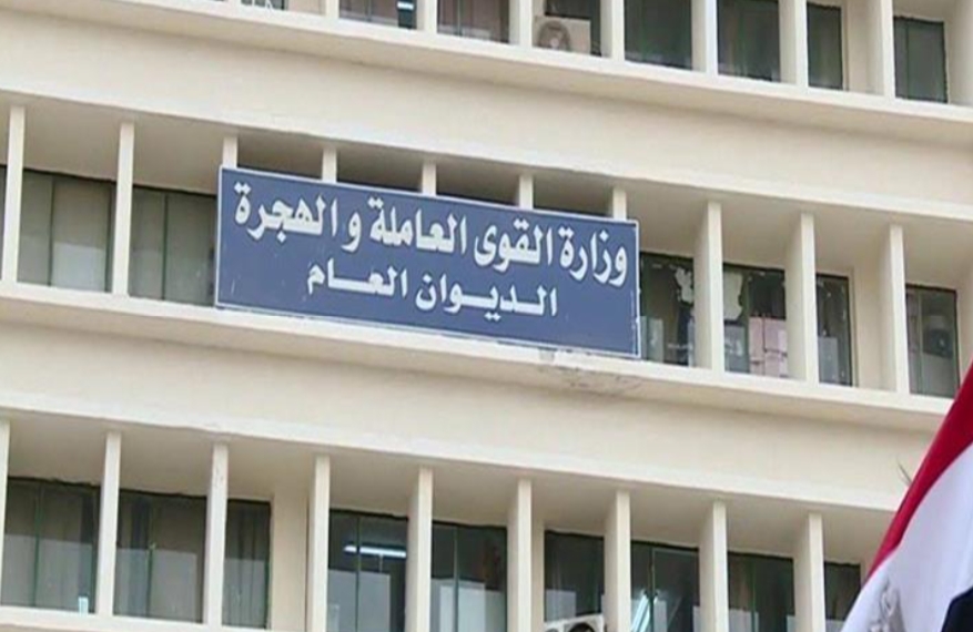 القوى العاملة: صرف 4.8 مليون جنيه للعمالة غير المنتظمة ببورسعيد