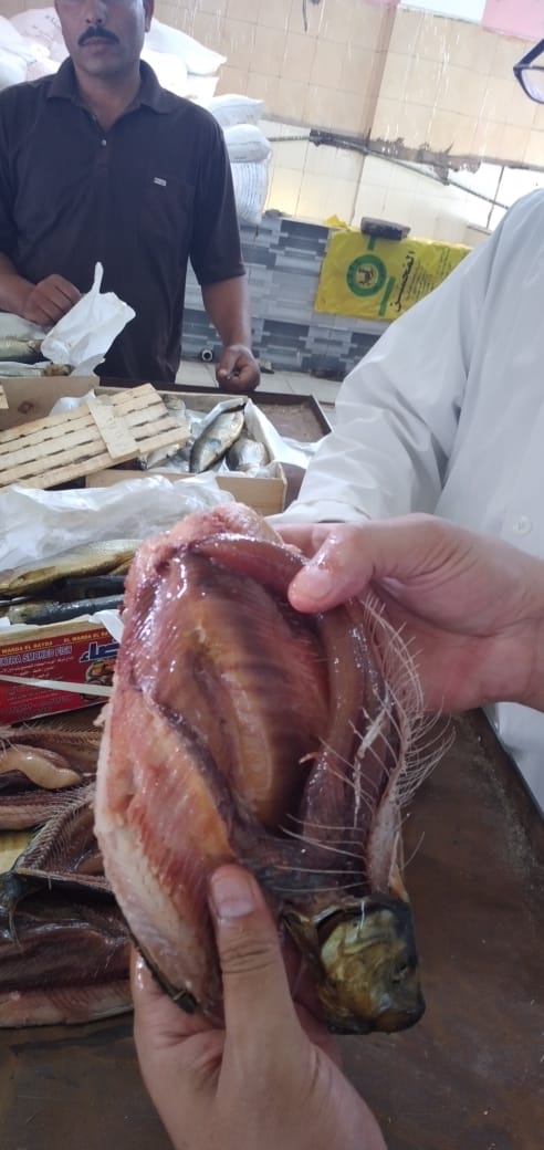 بيطري الغربية يضبط طن رنجة غير صالحة للأستهلاك الادمي