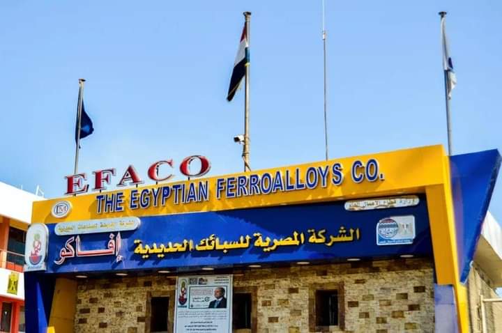 وزير قطاع الأعمال العام يتابع مشروعات "المصرية للسبائك الحديدية