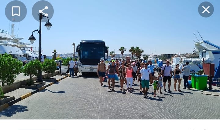 عمليات «تفويج» يومية تزامنًا مع بدء الموسم السياحى الشتوى