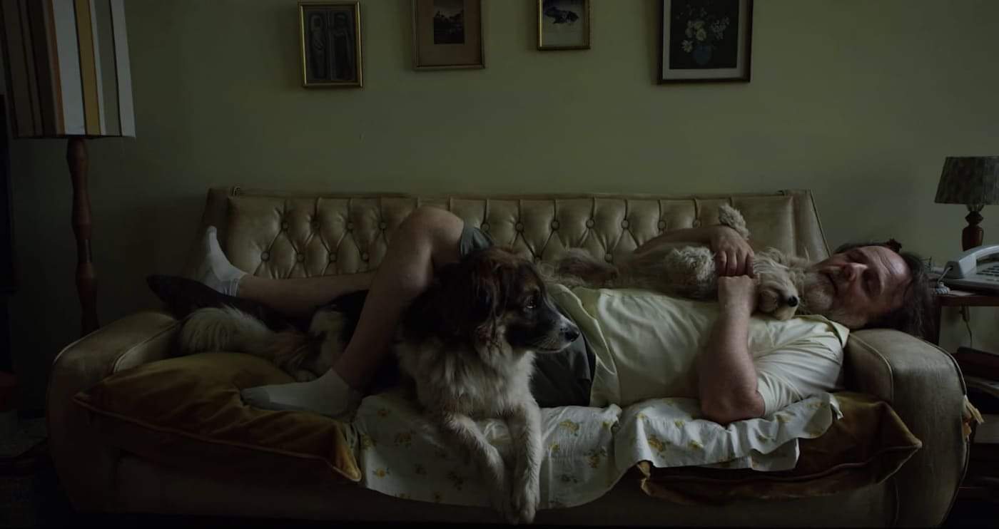 *اليوم.. عرض "سبعة كلاب" لأول مرة عالميا بمهرجان القاهرة السينمائي*