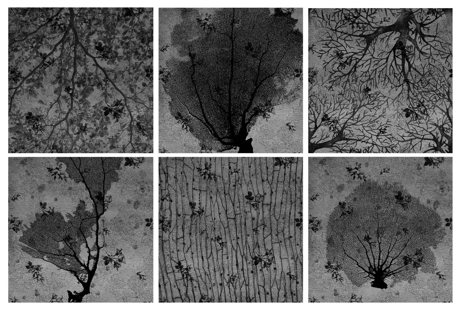 "الغابة المظلمة".. تصاوير مروة عادل للصراع بين الرضا المجتمعي وحقيقتنا (صور)