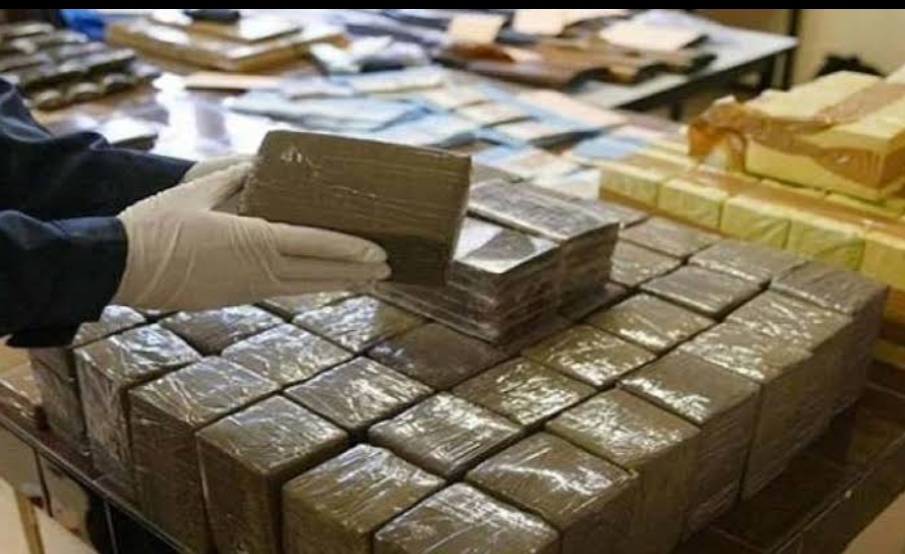 القبض علي تاجر مخدرات بالاسكندريه وبحوزته حشيش بقيمة 1٫260٫000 مليون جنيه