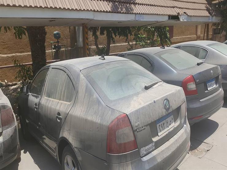 "خليها تصدي".. من الهتاف إلى مناقشة الحلول