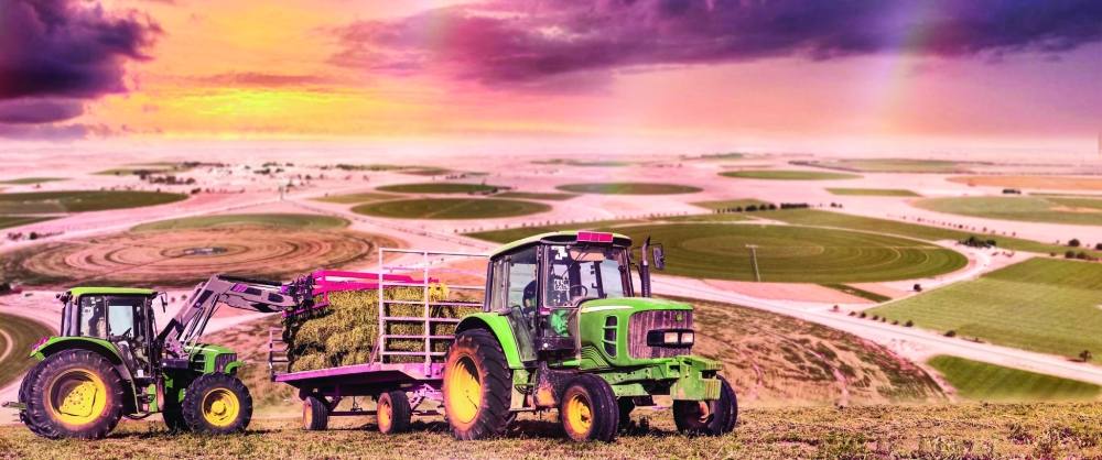 مؤشر الأمن الغذائي في سلطنة عمان يحقق تحسنا في وفرة الغذاء والاستدامة