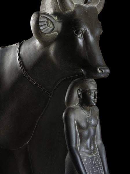 حتحورالبقرة المقدسة عند قدماء المصريين