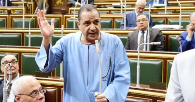 النائب أحمد هريدى يطالب بتوصيل الغاز الطبيعى لجميع قرى الصعيد