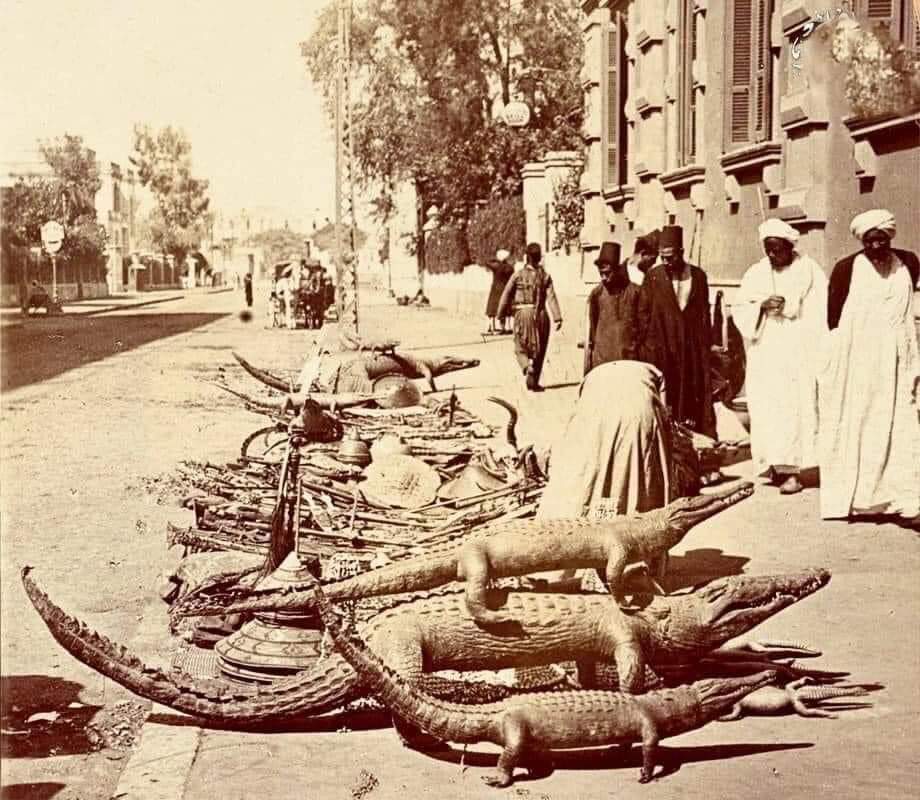 مدبولي: تكليفات من الرئيس السيسي بإعادة المواقع الأثرية