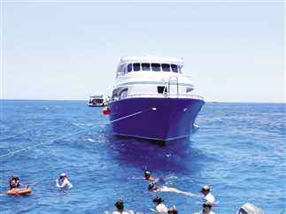 اليوم غرفة سياحة الغوص بالبحر الأحمر تبدأ تطبيق الإخطارات الإلكترونية للرحلات البحرية اليومية والسفاري