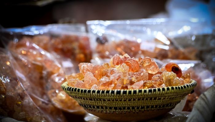 شجرة الصّمغ العربي في محافظة ظفار.. أهمية طبية واقتصادية