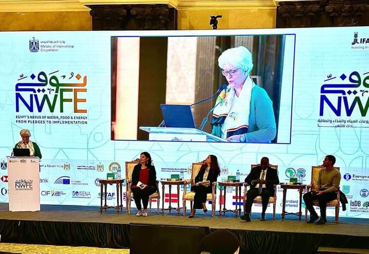 وزارة التعاون الدولي والصندوق الدولي للتنمية الزراعية "إيفاد" ينظمان ورشة عمل حول تحفيز مشاركة القطاع الخاص