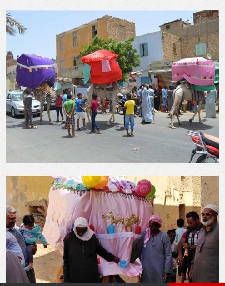 منع مسيرات «المحامل والهوادج» بالقصير احتفالا بالنصف من شعبان خوفا من كرونا