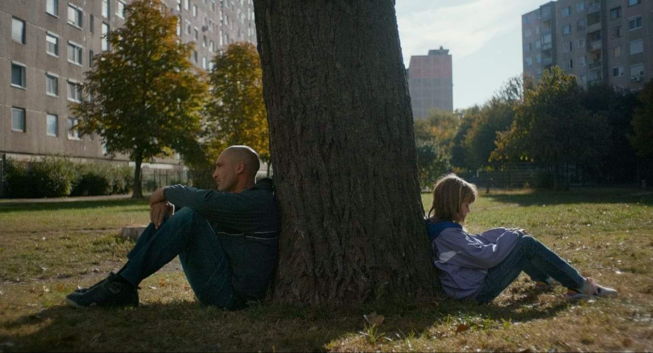 جذور برية" يفوز بجائزة فتحي فرج بمسابقة أسبوع النقاد الدولية في مهرجان القاهرة