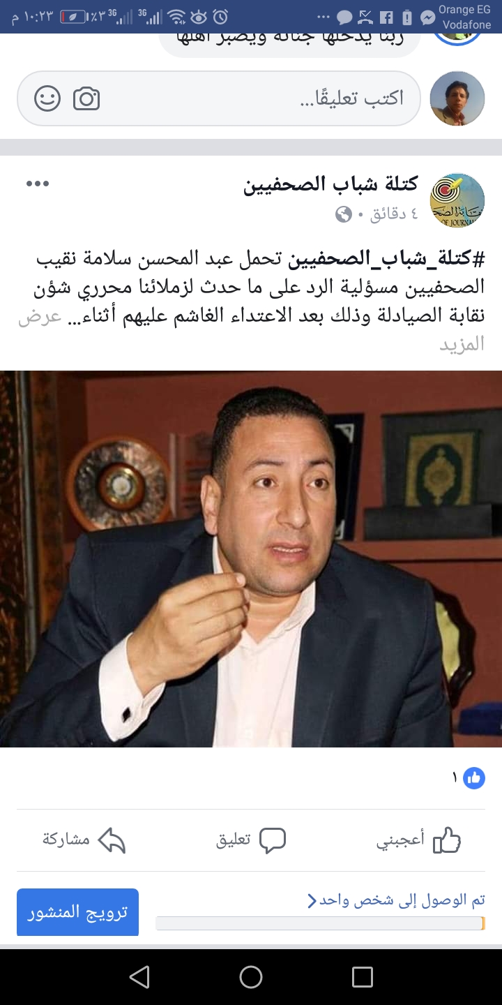 كتلة شباب الصحفيين:بلطجة نقيب الصيادلة في رقبة نقيب الصحفيين