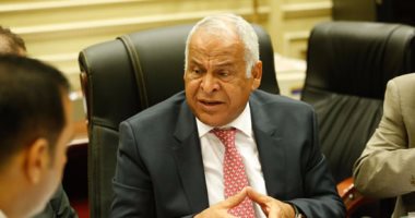 فرج عامر: تطهير مؤسسات الدولة من مدمنى المخدرات مهمة قومية