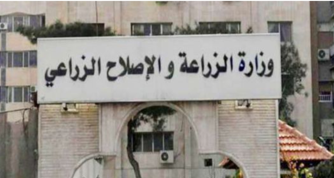 بالانفوجراف..."الزراعة في أسبوع" نشرة الحصاد رقم ٩٠ لأنشطة الوزارة في الفترة من ٦ إلى ١٢مايو الجاري 