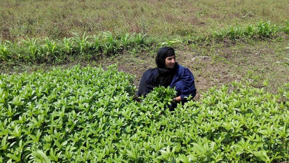 وجه بحري.. الأكثر سكانًا الأقل تنميةً