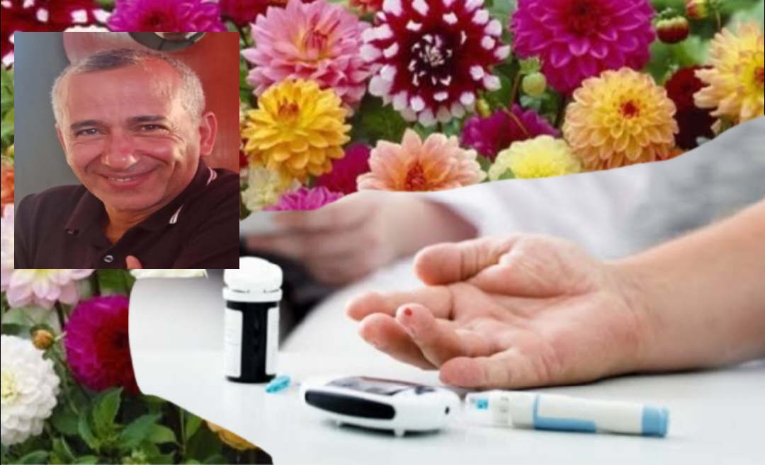 ازهار الداليا وأمل جديد لمرضي السكر 