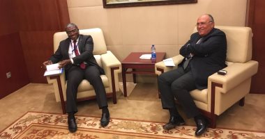 شكرى يبحث مع وزير خارجية الجابون تخصيص أراضى فى بلاده لإنشاء مزرعة أرز مشتركة