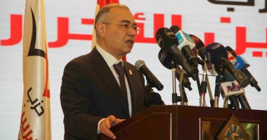 رئيس حزب المصريين الأحرار: بيان منظمة العفو الدولية عن مصر مريب ومحرض