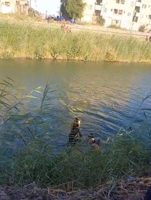 العثور على جثة تلميذ بترعة بقري سوهاج 