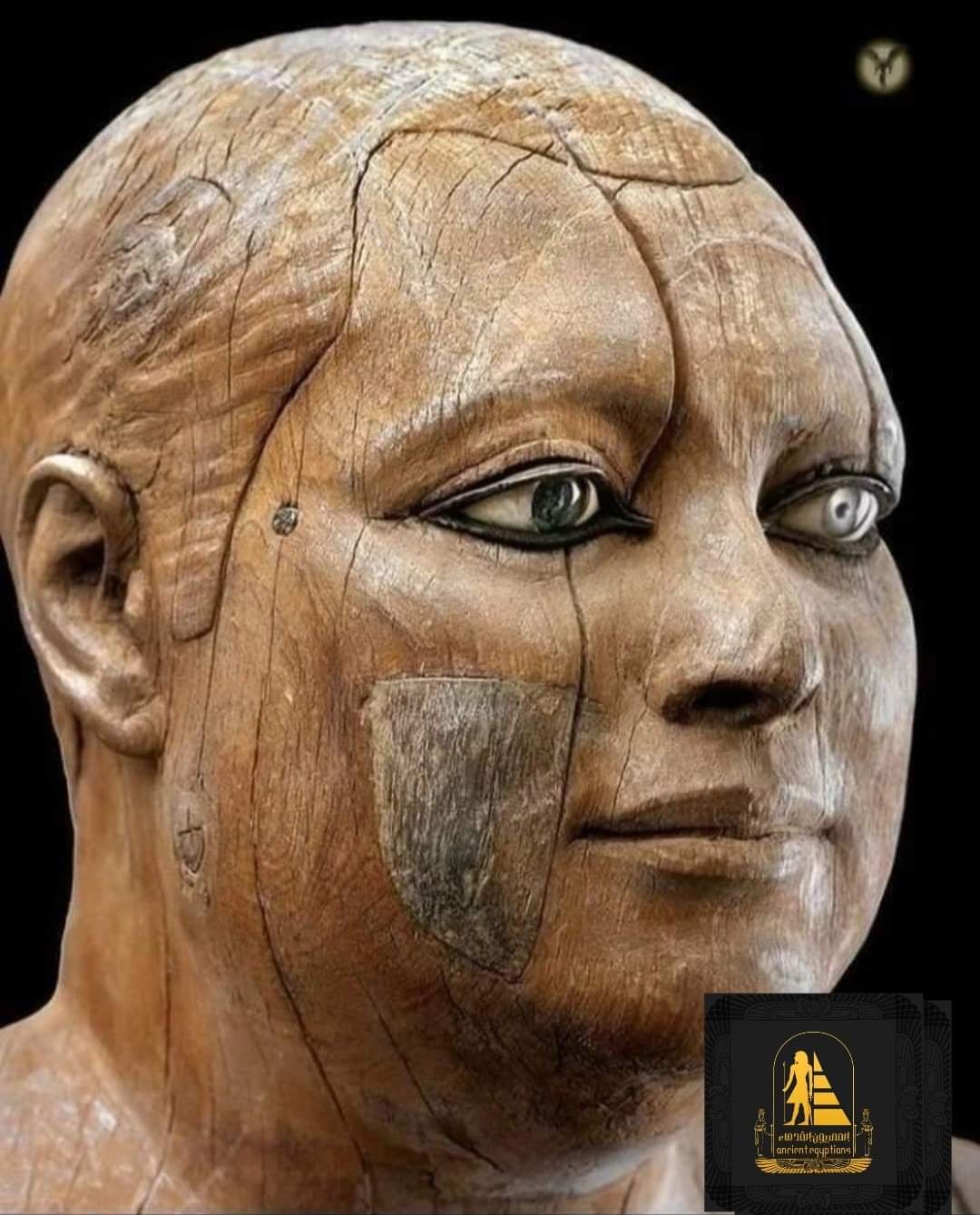 على أمين يكتب : أجدادنا الفراعنة