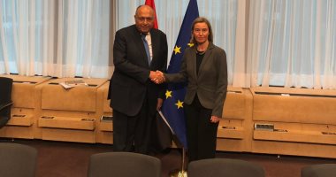 العلاقات بين مصر وأوروبا شهدت تطورات إيجابية هامة