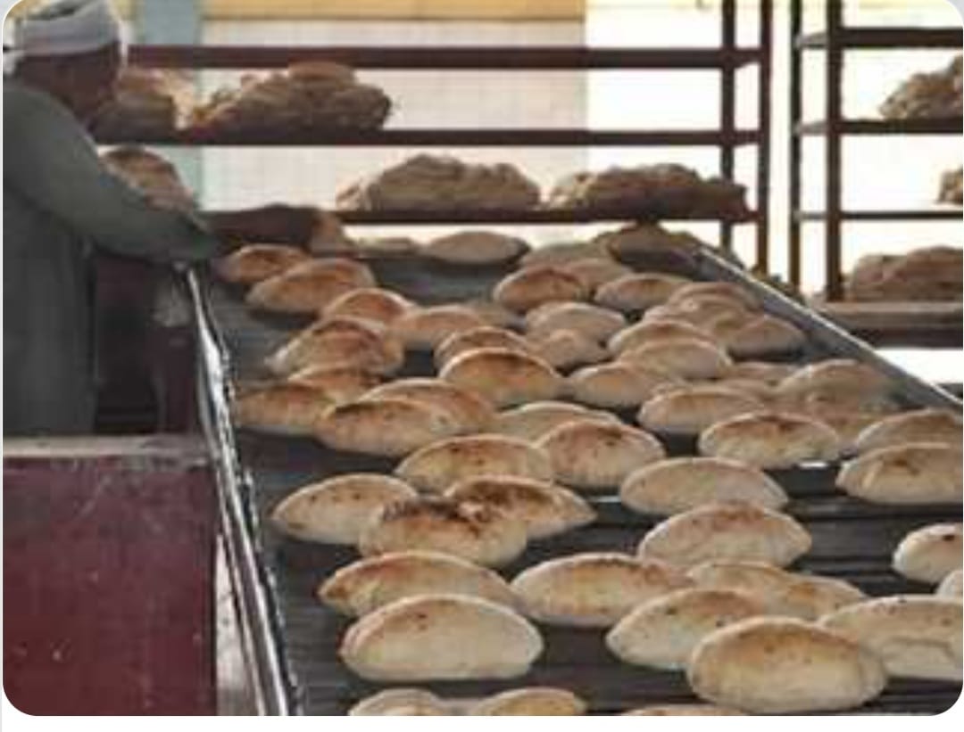 تحرير ٢٣٠ مخالفة تموينية بسوهاج