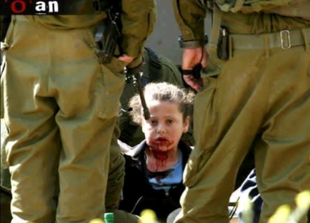 رسالة الى أخي في فلسطين