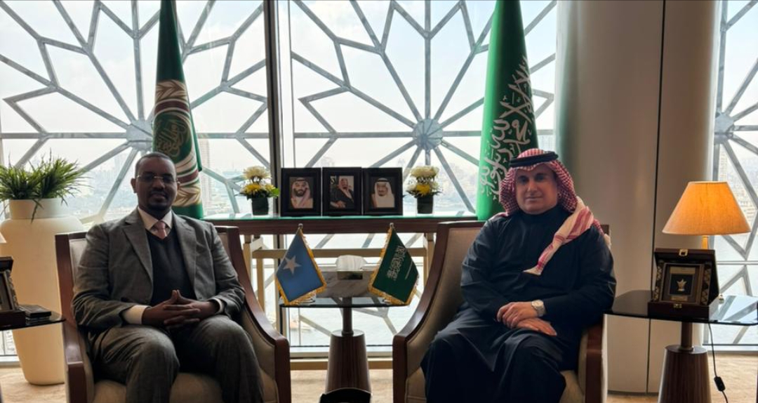 مندوب المملكة لدى الجامعة العربية يستقبل نظيره الصومالي