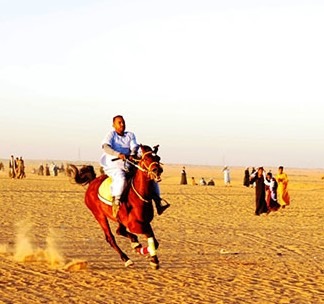 مونديال الشمس مرماح الخيول بقرية بنبان باسوان