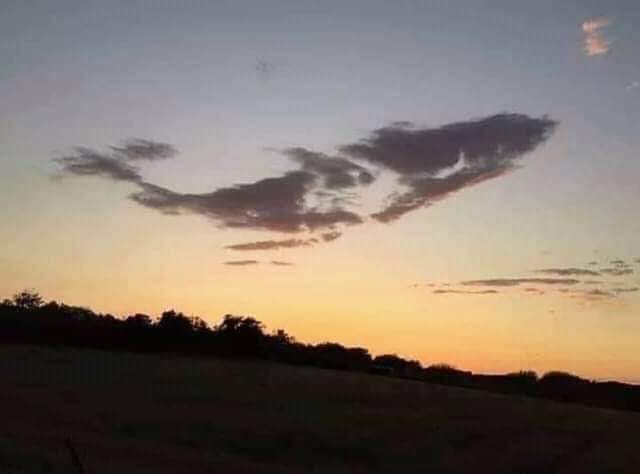 عقاب سيدنا يونس في القرآن الكريم