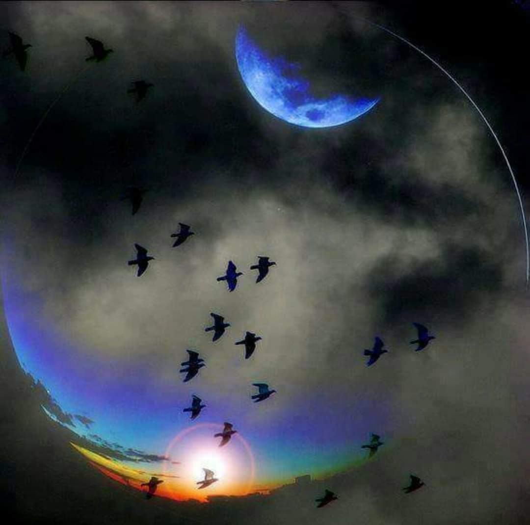 من القلب للقلب: إن ربك بالمرصاد