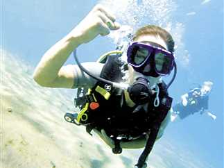 عودة أنشطة الغطس بالبحر الأحمر