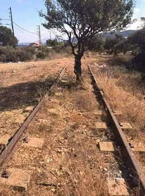 كرفان الأصفر 11