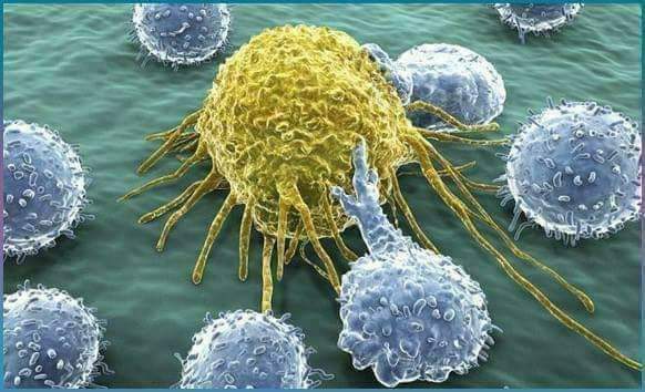 الصيام ومعجزاته وآثاره في علاج كورونا