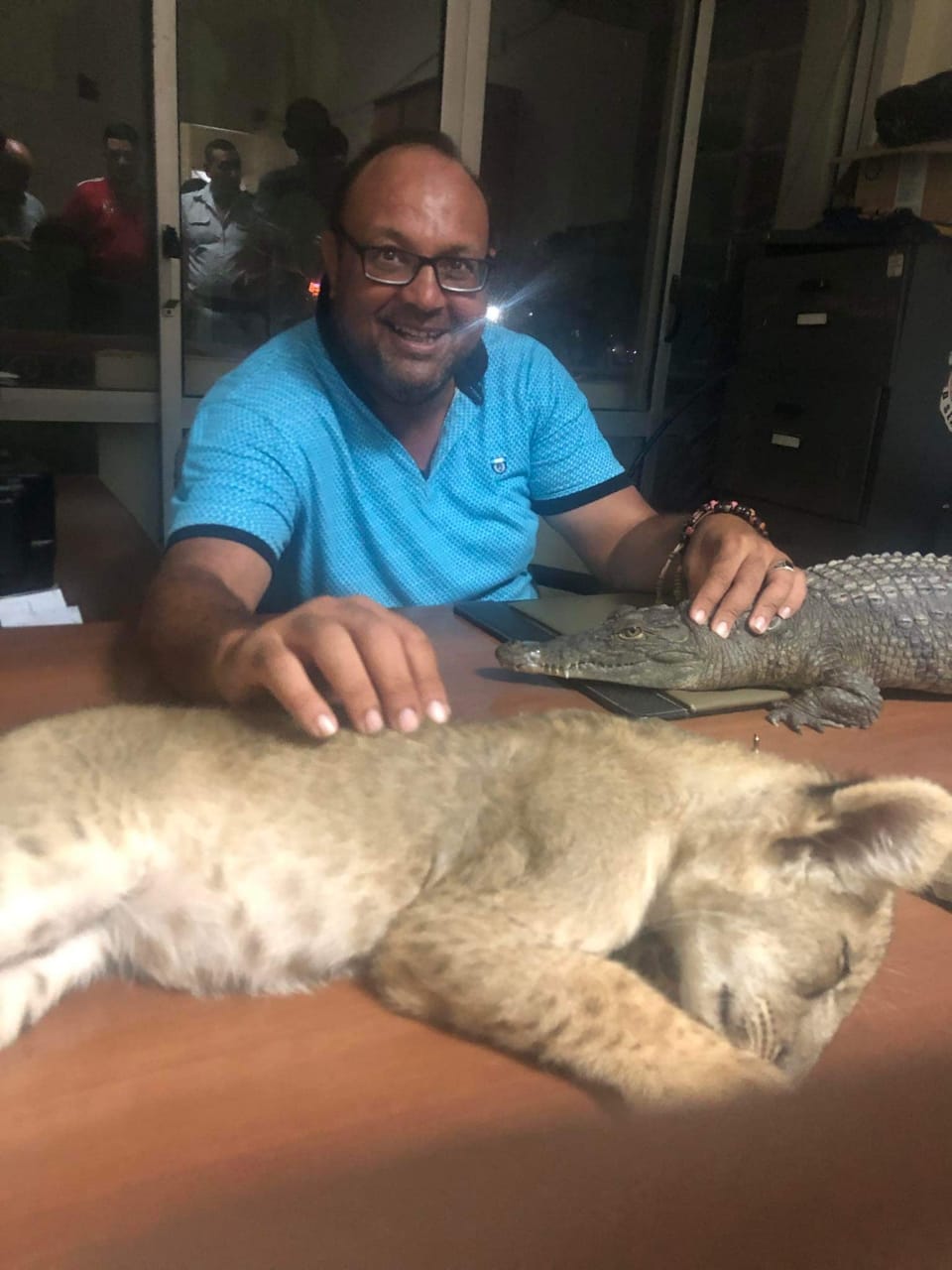 ضبط أسد وتمساح نيلى وثعبان فى حملة تفتيشية لإدارة المحميات بالغردقة.. صور