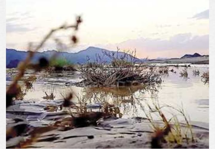 أمطار غزيرة بعدة مناطق بالشلاتين في البحر الأحمر